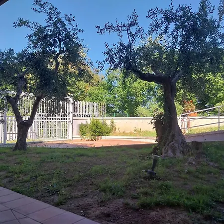 100mq In Con Giardino Recintato